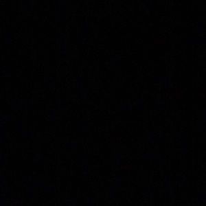 Meet your Posher, Reece